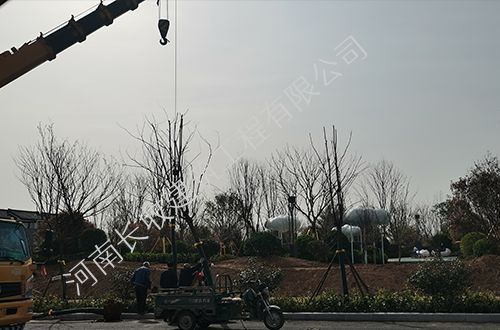 市政道路绿化施工项目